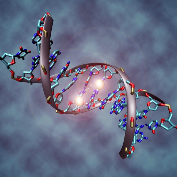 DNA_methylation DNA_methylation